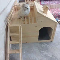 حراج لانه سگ زیر قیمت بازار