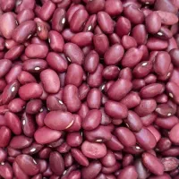 قرمز. چیتی|خوردنی و آشامیدنی|قم, شهرک فاطمیه|دیوار