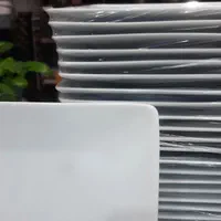 پیش دستی چینی 4 گوش (فلت) تقدیس|ظروف سرو و پذیرایی|بندر انزلی, کارآموزی|دیوار