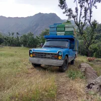 وانت نیسان کرایه‌ و باربری