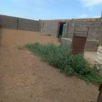 دامداری-فروشی