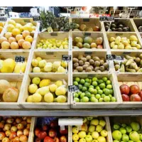 میوه فروشی مشارکت سرمایه گزاری نمایندگی|استخدام بازاریابی و فروش|تهران, میدان میوه و ترهبار مرکزی|دیوار