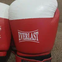 دستکش بوکس1