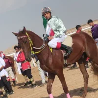 اسب ترکمن نریون