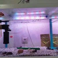 اکواریوم شیشه خم