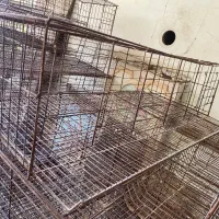 قفس بلدرچین