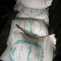 برنج هاشمی درجه ۱