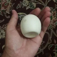فروش سنگ آسیاب|جواهرات|قم, یزدان‌شهر|دیوار