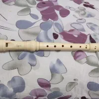 فلوت