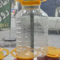 دبه ترشی|ظروف نگهدارنده، پلاستیکی، یک‌بارمصرف|محمدشهر, همایون ویلا|دیوار