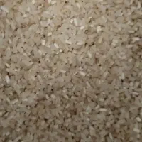 عرضه مستقیم برنج ایرانی سرگل|خوردنی و آشامیدنی|شاهرود, |دیوار
