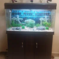 آکواریوم شیشه‌خم‌ ماهیران سری‌خارجی باهمه لوازم|ماهی|کرج, گلشهر|دیوار