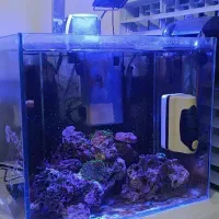 اکواریوم ابشور