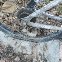 دوچرخه ویوا|دوچرخه، اسکیت، اسکوتر|باسمنج, |دیوار