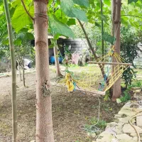 اجاره سوئیت ویلایی ۱ خوابه تمیز رو به باغ|اجارهٔ کوتاهمدت ویلا و باغ|رودسر, |دیوار