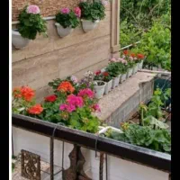 اچاره سویت خانه باغ پاوه دو خ. یک. خ