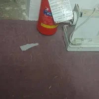 چرخ خیاطی|چرخ خیاطی و ریسندگی|تایباد, |دیوار