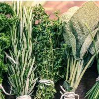 همکاری|استخدام بازاریابی و فروش|رشت, سعدی (تختی)|دیوار