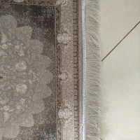 پادری|پادری|تهران, تهرانپارس غربی|دیوار
