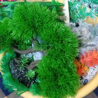 آکواریوم با تمامی لوازم|ماهی|بیرجند, |دیوار