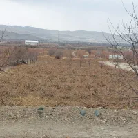 فروش باغ انگوری|فروش زمین و ملک کلنگی|ملایر, |دیوار