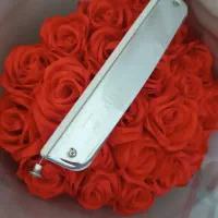 ساز دهنی.هارمونیکا