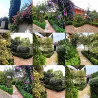 فروش ویلا اوایل دالخانی  (کلا یه بن)|فروش خانه و ویلا|دالخانی, |دیوار