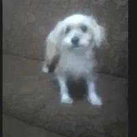 فوری یک میلیون