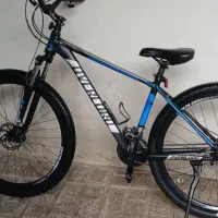 دوچرخه اورلرد
