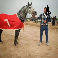 نریون یادگار آهو