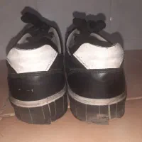 کتونی کلاسیک و اسپورت ساز۴۲.۴۳|کیف، کفش، کمربند|اراک, |دیوار