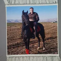 تبدیل عکس شما به تابلوفرش|تابلو فرش|خرمآباد, |دیوار