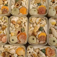 کادویی قیمت مناسب هدیه تولد و ولنتاین و عیدی