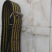 قلاده سگ