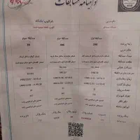 کفتر پلاکی|پرنده|تربت‌حیدریه, شهید بهشتی|دیوار