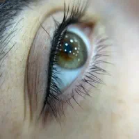 تخفیف طلایی ویژه خدمات|خدمات آرایشگری و زیبایی|قرچک, میرزائی شمالی|دیوار
