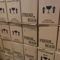 نیروی اقا نیازمندیم