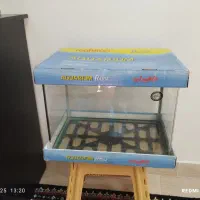 یک عدد آکواریوم شیشه خم