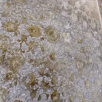 فرش ۱۲ متری وینتیج ۱۲۰۰ شانه