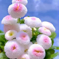 ساعت زنانه گمشده