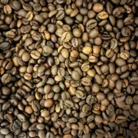 فروش قهوه روبوستا و عربیکا|خوردنی و آشامیدنی|هشتگرد, طاووسیه|دیوار