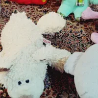 اسباب بازی بچه|اسباب‌بازی بچه|تهران, قیطریه|دیوار