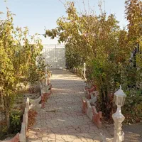 باغ آماده بر اتوبان معلم شاهین شهر اصفهان معاوضه|فروش دفتر صنعتی، کشاورزی، تجاری|شاهین‌شهر, گرگاب|دیوار