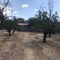 زمین ۱۲۰۰ متری احمد آباد دماوند|فروش زمین و ملک کلنگی|دماوند, دماوند|دیوار