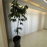 فروش-آپارتمان-140-متر-امیرکبیر-کمیل