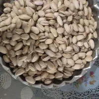 پسته تازه امسالی