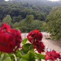 ویلا نوساز در جاده ماسوله|اجارهٔ کوتاه‌مدت ویلا و باغ|ماسوله, |دیوار