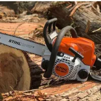 قطع درختان باغی وغیر باغی|خدمات باغبانی و درختکاری|بابل, |دیوار