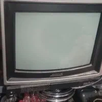 تلوزیون
