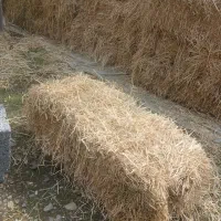 سرچین خشک تضمینی